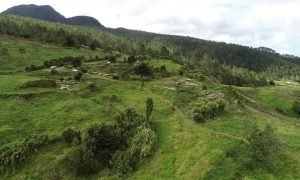 Medio Ambiente inicia el lunes censo en comunidades de San José de Ocoa que están dentro de Valle Nuevo