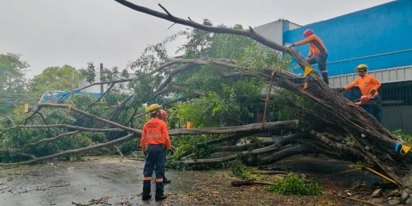 Defensa Civil realiza labores preventivas y de respuesta tras paso de la tormenta Fred