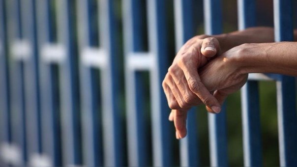 Apresan mujer implicada en estafa por más de 100 millones de pesos