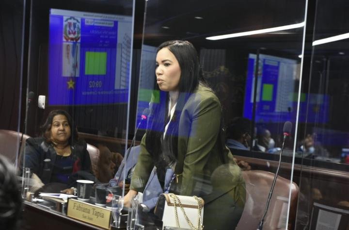 Diputada Fabiana Tapia recomienda a Abinader no perder su tiempo hablando de explotación minera en SJM
