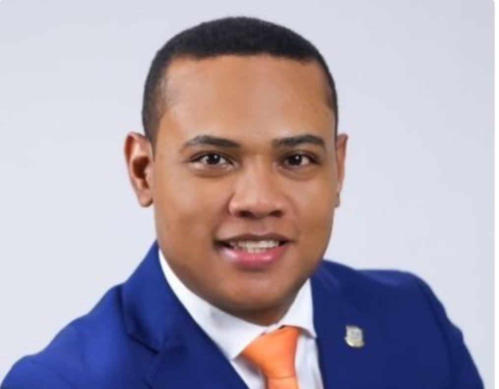 Presidente Comisión Energía de la Cámara de Diputados, Gaddis Corporán. (Fuente externa)