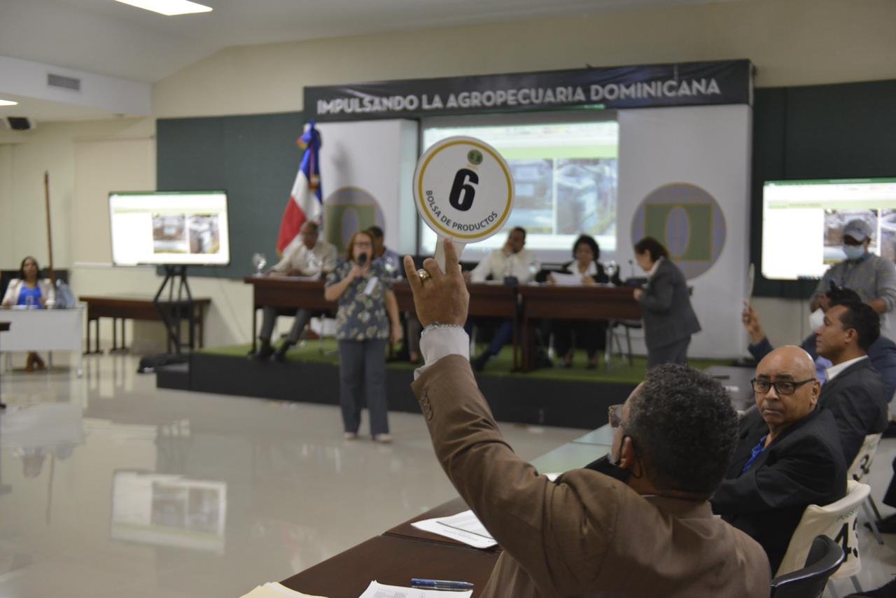 Aduanas recauda RD6,184,276.13 en subastas públicas el 2022