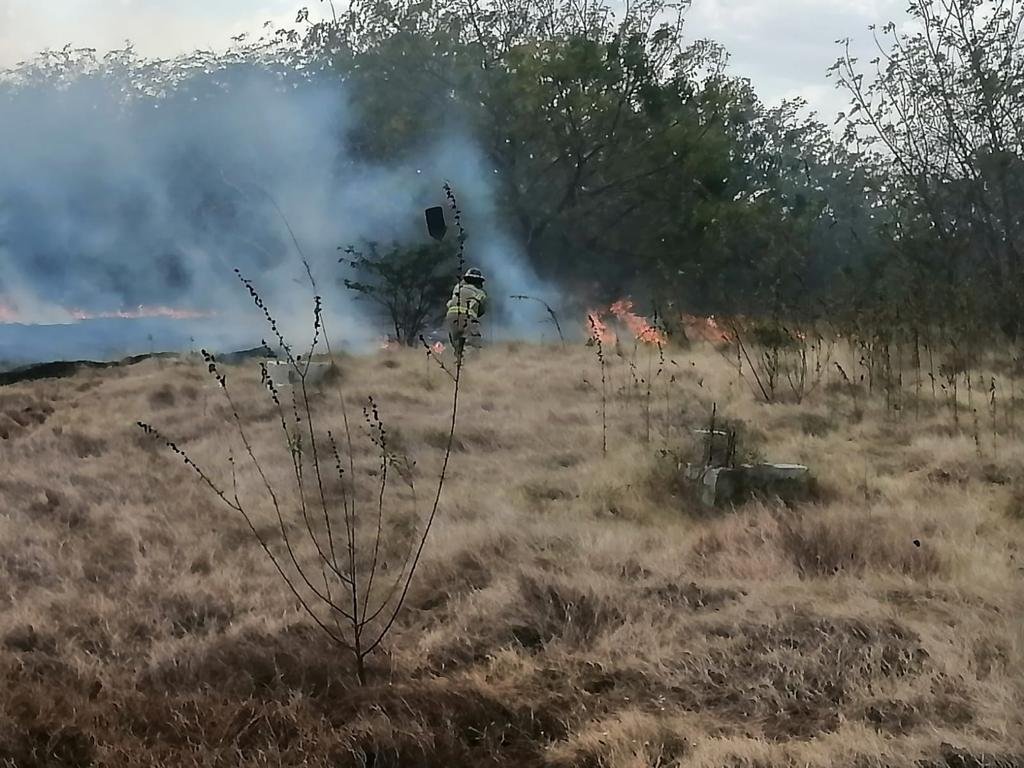Medio Ambiente reporta disminución de incendios forestales en Valle Nuevo