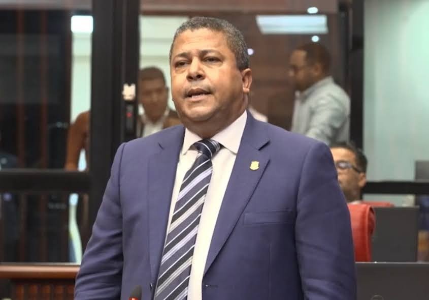 Senador del PRM denuncia en el Congreso tala de árboles “sin piedad” en Santiago Rodríguez