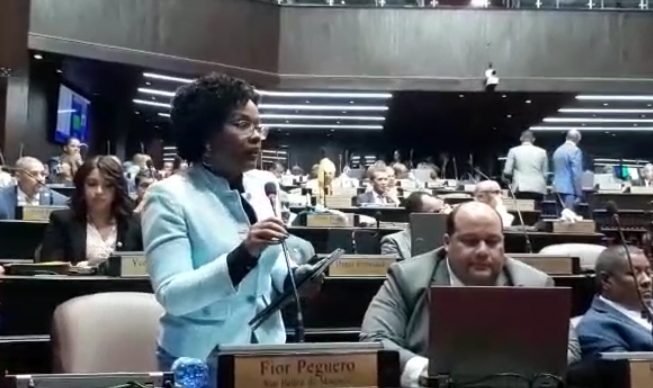 Diputada Fior Daliza Peguero: Discurso  de presidente Abinader subestima inteligencia del pueblo dominicano