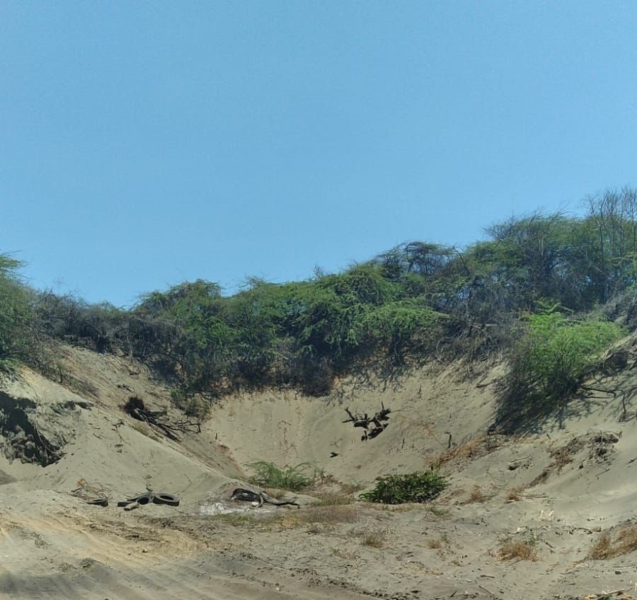 Extracción de arena no es en el Monumento Natural Las Dunas de Baní, asegura Medio Ambiente