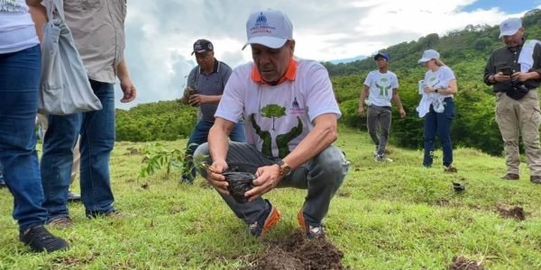 Siembran más de mil plantas en San Cristóbal