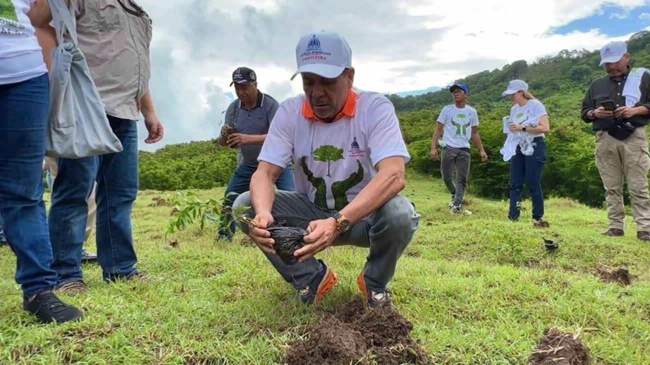 Siembran más de mil plantas en San Cristóbal