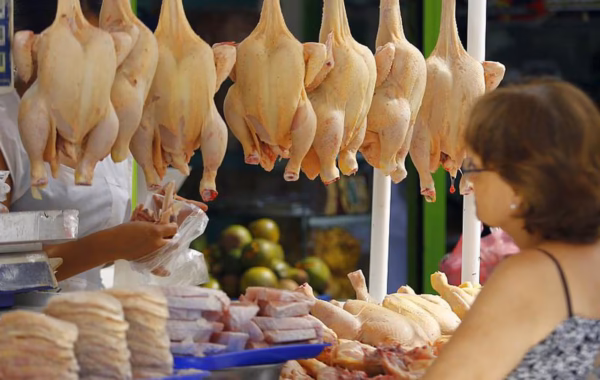 Detallistas advierte que la libra de pollo podría subir a 100 pesos; proponen estrategia para bajar precio