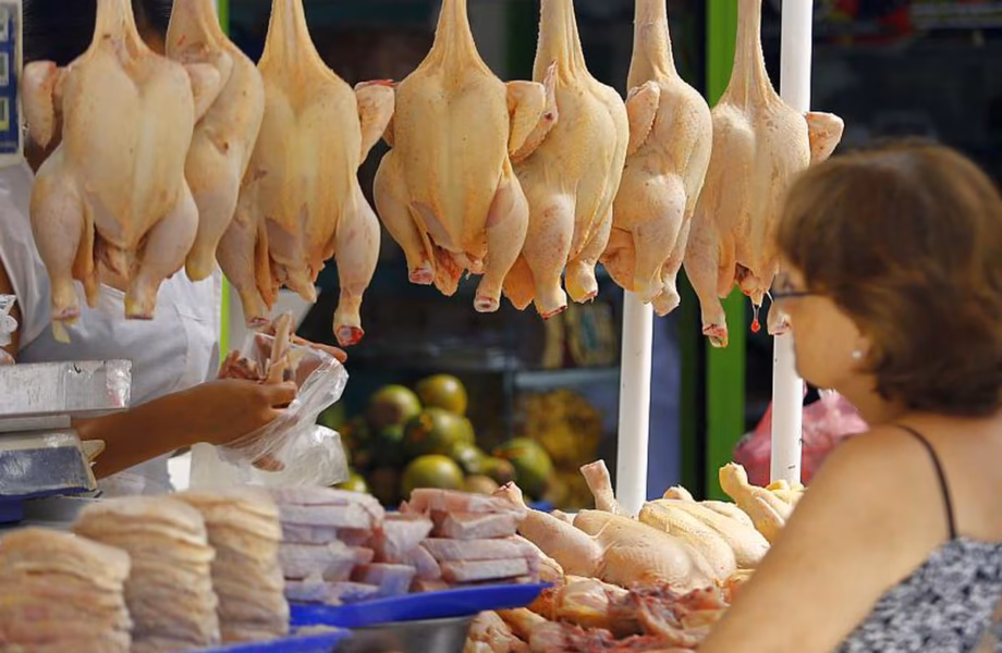 pollo