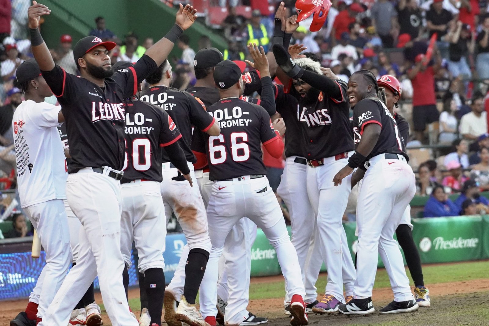Escogido pasa a la final con triunfo ante los Tigres