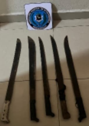 WhatsApp Image 2025-11-13 at 8.59.26 PM