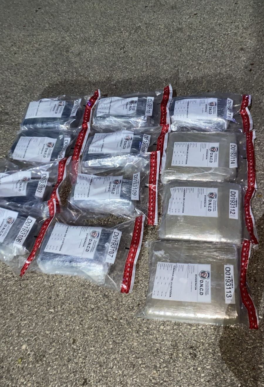 Paquetes de presunta marihuana ocupada en San Juan (Foto DNCD)