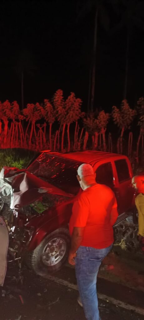 Dos franceses mueren y cinco resultan heridos en accidente en El Catey - Noticias de hoy en República Dominicana | De Último Minuto