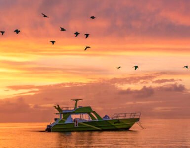 Sunset Catamarán, la experiencia que conquista a los turistas en Punta Cana Sunset Catamarán, la experiencia que conquista a los turistas en Punta Cana