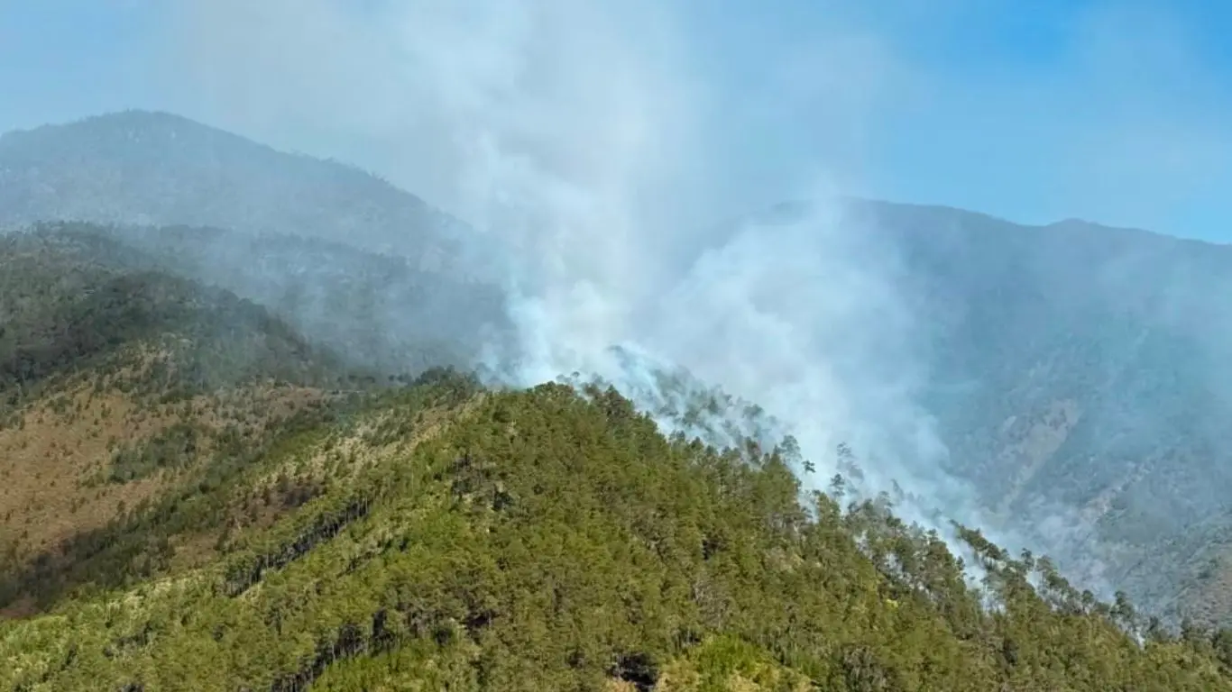Medio Ambiente controla incendio forestal en el Valle del Tetero