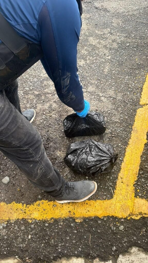 DINTEL ocupa más de ocho libras de presunta marihuana y arresta a dos hombres durante operativo - Noticias de hoy en República Dominicana | De Último Minuto