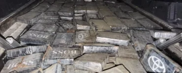 DNCD incauta 237 paquetes de presunta cocaína durante operativo en Santo Domingo