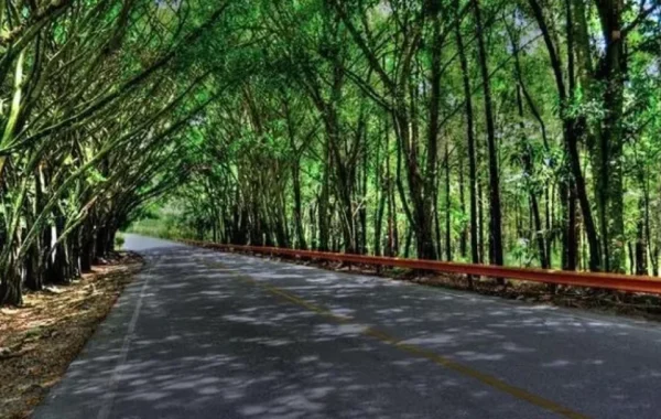 MOPC anuncia desvío temporal este sábado en la entrada a Jarabacoa