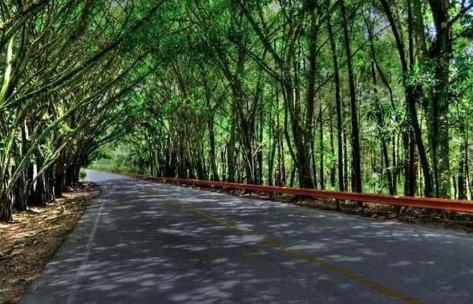 MOPC anuncia desvío temporal este sábado en la entrada a Jarabacoa
