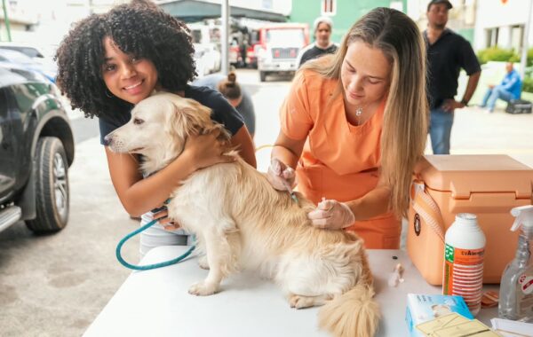 Carolina continúa impulsando jornadas de bienestar animal; durante operativo se esterilizaron 100 perros y gatos